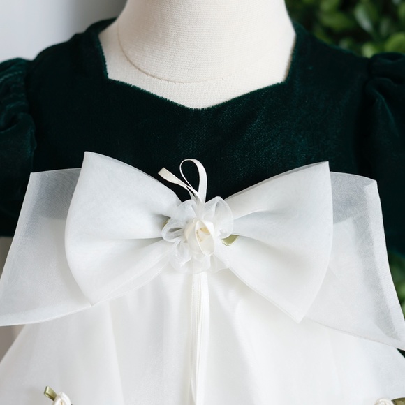 Baby Girl's Dress Green Velvet Ivory Chiffon Size 6-9 Months Special Occasion - Picture 3 of 6